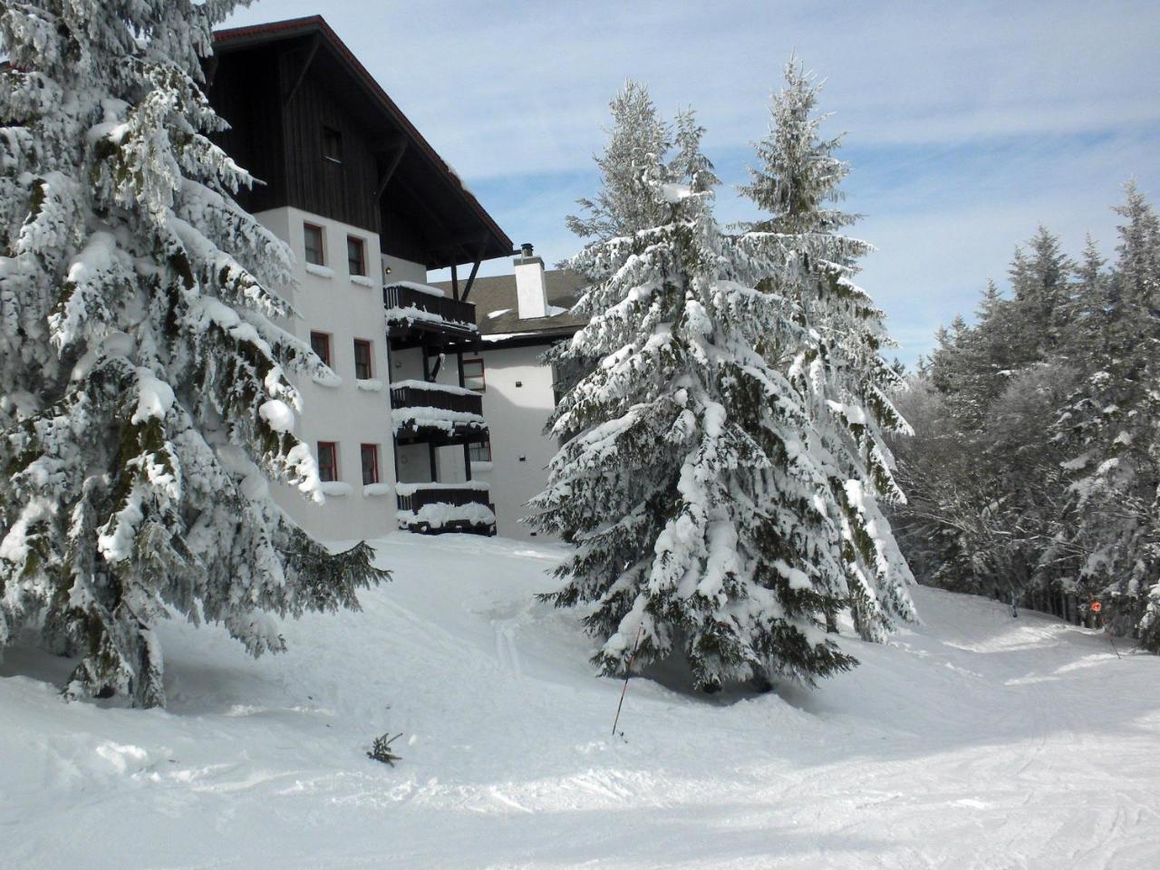Whistlepunk 32 Villa Snowshoe Exterior photo